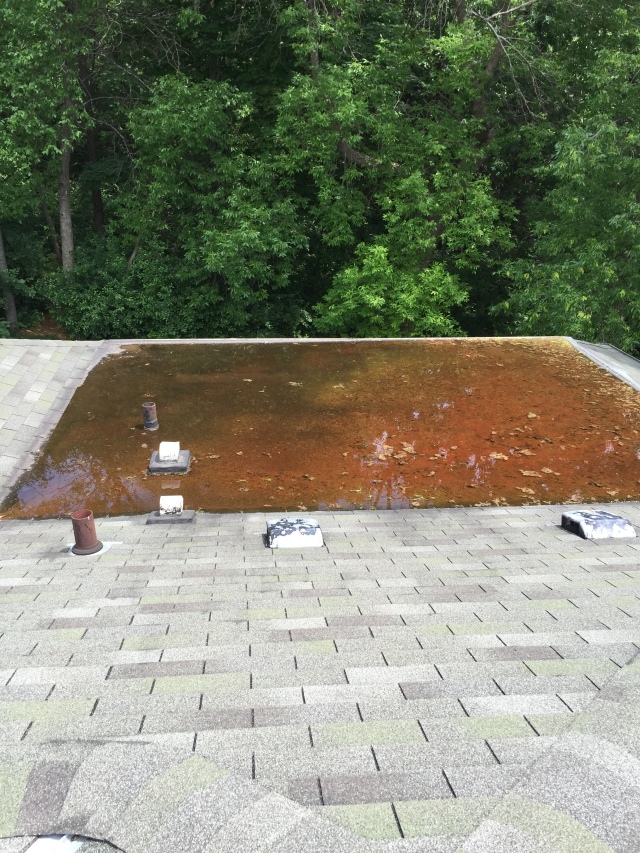 roof pond